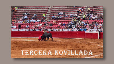 TERCER NOVILLADA EN LA PLAZA DE TOROS "LA MÉXICO"