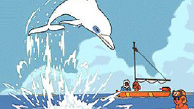 Zum il delfino bianco