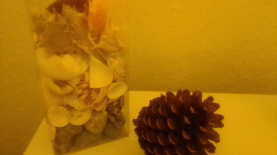 WHAT WAS THE MOVIE WATERWORLD TRYING TO TELL US.