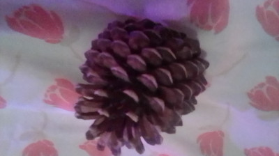 YOU ONLY LIVE ONCE & IT'S GOOD TO KNOW THIS BECAUSE NO ONE WILL TELL YOU.