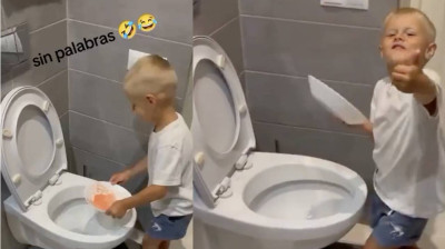 Wie man das Geschirr in der Toilette wäscht