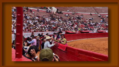 LUIS MARTÍNEZ❤️NOVILLADAS 2024❤️PLAZA DE TOROS "LA MÉXICO"❤️