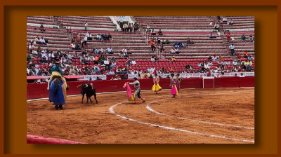 JESÚS SOSA❤️NOVILLADAS 2024❤️PLAZA DE TOROS "LA MÉXICO"❤️