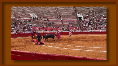 CÉSAR PACHECO❤️NOVILLADAS 2024❤️PLAZA DE TOROS "LA MÉXICO"❤️CIUDAD DE MÉXICO