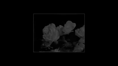 ODE A SIGUER harmonica chromatic