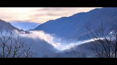 Marcello adagio flute organ