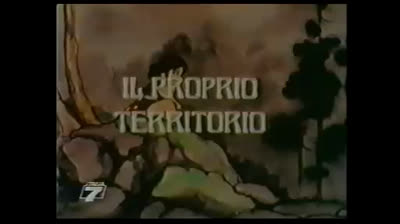 20 Sasuke, il piccolo ninja - Il proprio territorio