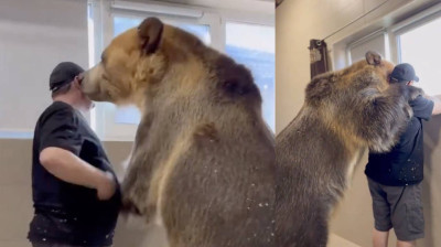 So sieht ein Tag in Russland aus