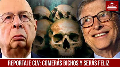 EL FIN DE LA CARNE I La ONU y El Foro Económico Mundial CAMBIARÁN TODO