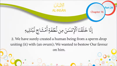 Quran English Recitation Audio Chapter 76- _The Human Being_ (Surah 76 - _Al Insan_)_2