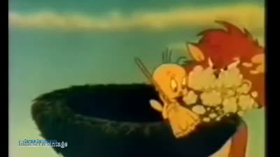 Un'Amicizia Sincera Silvestro e Titti