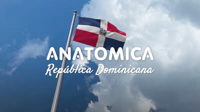 Trasplante Capilar Republica Dominicana