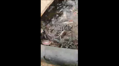 Overnight Death/Revenge Spells Caster That Can Help To Kill Enemy/Ex Overnight