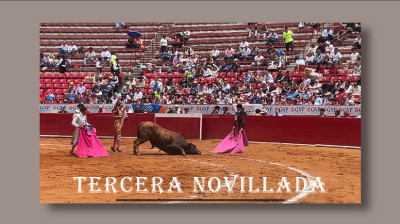 3ER NOVILLADA 2024❤️PLAZA DE TOROS "LA MÉXICO"❤️JOSÉ MARÍA MENDOZA, RAFAEL SORIANO, MANOLO GONZÁLEZ