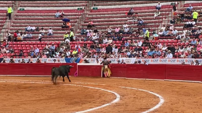 VOLÓ EL TORITO EN LA PLAZA DE TOROS "LA MÉXICO"