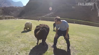 Hilarische Stürze auf Kamera festgehalten 2024