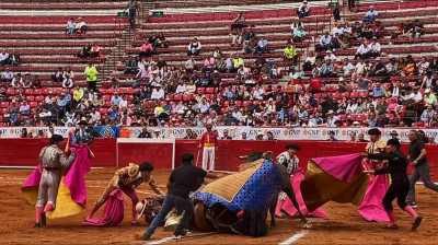 TERCERA NOVILLADA 2024 EN LA PLAZA "LA MÉXICO"❤️CAÍDA DEL PICADOR