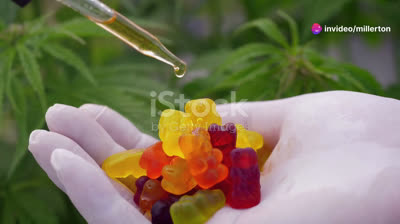 Calmwell CBD Gummies: Discover Natural Calm and Wellness