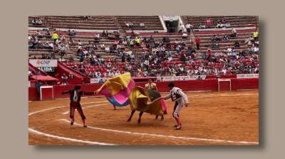 3ER NOVILLADA 2024❤️PLAZA DE TOROS "LA MÉXICO"❤️JOSÉ MARÍA MENDOZA, RAFAEL SORIANO, MANOLO GONZÁLEZ