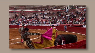 3ER NOVILLADA 2024❤️PLAZA DE TOROS "LA MÉXICO"❤️JOSÉ MARÍA MENDOZA, RAFAEL SORIANO, MANOLO GONZÁLEZ