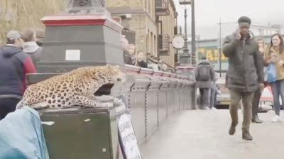 Worst Celebrity Falls of 2024