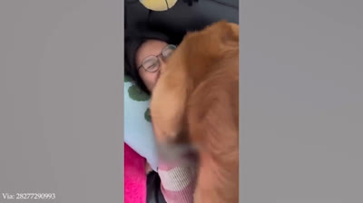 Stürze und Peinliche Momente von Influencern 2024