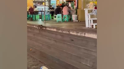 Rires et Trébuchements lors de Mariages et Fêtes 2024