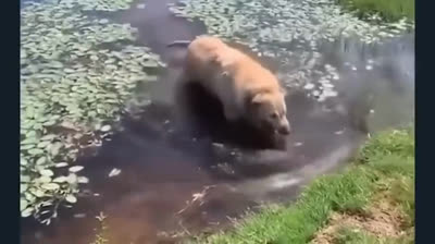 Die Lustigsten Sturz-Momente 2024