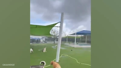 Falls Compilation in Games and Sports 2024