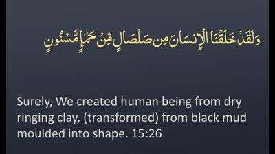 Juz' 14 - ? ENGLISH ONLY Recitation with Arabic_English Text. Night Mode (Dark Background)