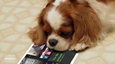 The Fammission = Family on a Mission by Monty Jackson