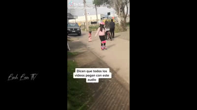 Die besten lustigen kurzen Videos des Moments