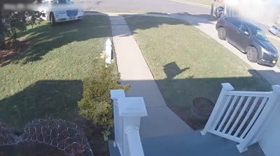 Short and Funny Videos to Brighten Your Day