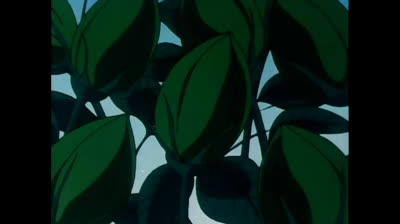 Dolce Luna 17 La nave fantasma