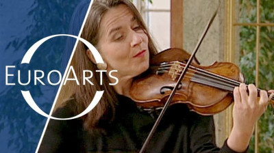 BACH  Brandenburg   Concerto  No 3 in  Major  - Erin   Mommsen  Wolff - BWV 1048.