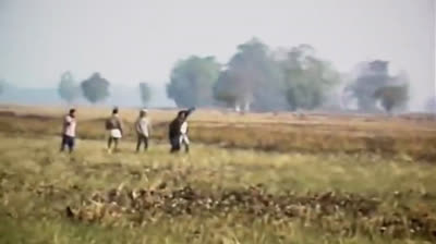 72 - ANIMALI  PERICOLOSI  [HD]  1