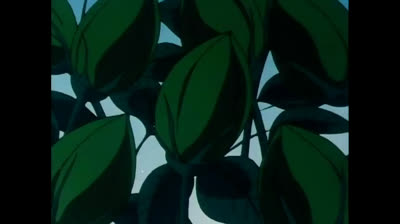 Dolce Luna 26 Un mago nella nebbia