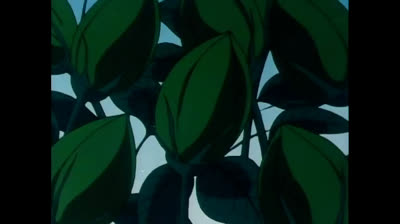 Dolce Luna 31 La Balena volante