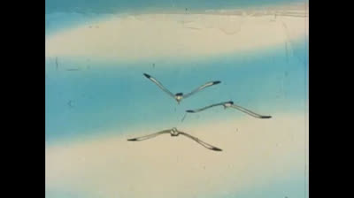 Il fantastico mondo di Paul - 09 - Nel mondo degli uccelli