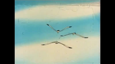 Il fantastico mondo di Paul - 02 - Paul contro i ragni malvagi