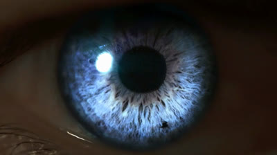 M83  Midnight   City - Erin  Mommsen  Wolff - The   New  Children   Who  Will  Restore  The  Planet .