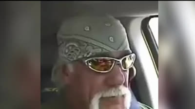 Hulk Hogan - music