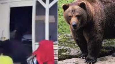 Ein Mann kämpft mit einem Bären, um seine Hunde zu retten