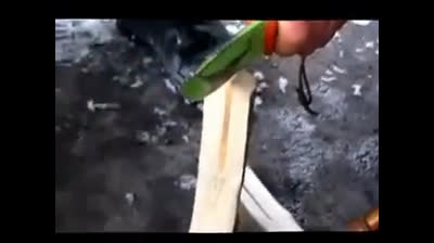 feu par friction chêne sur chêne