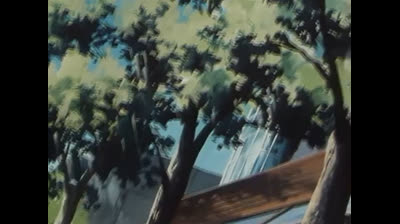 12 Motori in pista - Sfida tra piloti