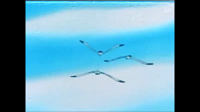 Il fantastico mondo di Paul - 22 - Il computer