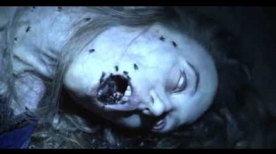 MORDER  HOUSE -  AMERICAN  HORROR  STORY - ERIN  MOMMSEN  WOLFF.