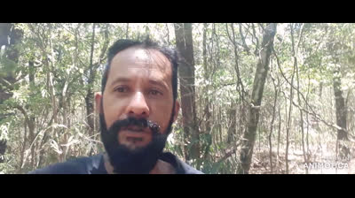 Meus Artistas Favoritos