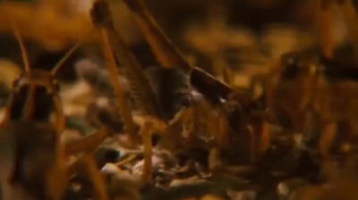 L’esorcista II – L’eretico [HD] 3