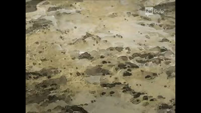 50 Deltora Quest - Chi è il prossimo re?